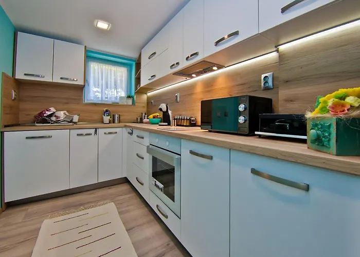 Stefan * バルチク